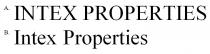 INTEX PROPERTIES Intex Properties