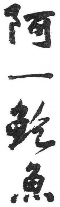 阿一鲍魚