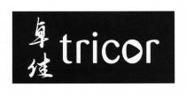 tricor 卓佳