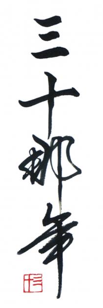 三十那年 十三