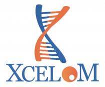 X XCELOM