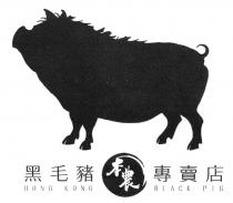 HONG KONG BLACK PIG 黑毛豬 本農 專賣店
