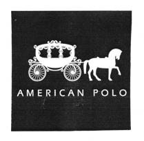 AMERICAN POLO