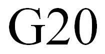 G20