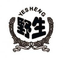 YESHENG 野生