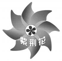 紫荆花