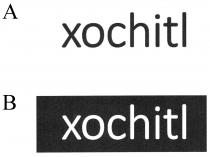 xochitl