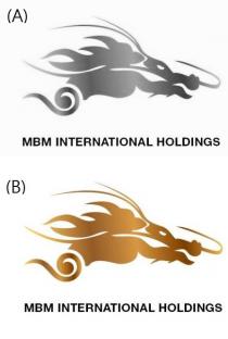 MBM INTERNATIONAL HOLDINGS