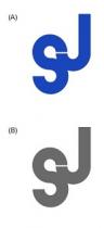 SJ