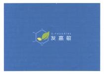 HN HO HO HO D-FAGOMINE 发高敏