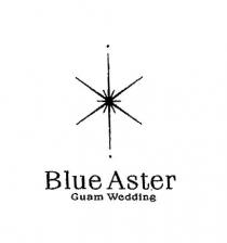 Blue Aster Guam Wedding