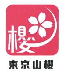 櫻 東京山櫻