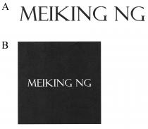 MEIKING NG