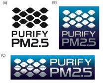 PURIFY PM2.5