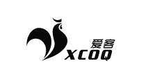 XCOQ 爱客