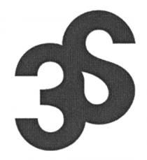3S