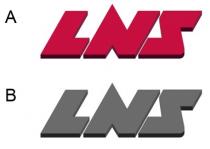 LNS