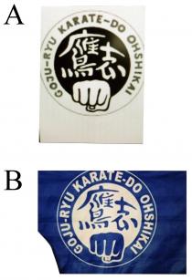 GOJU-RYU KARATE-DO OHSHIKAI 鷹志