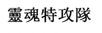 靈魂特攻隊