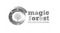 magic forest DISCOVER LEARN INSPIRED