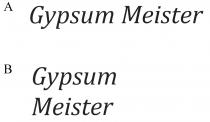 Gypsum Meister