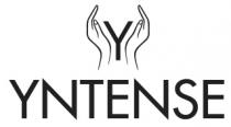 Y YNTENSE