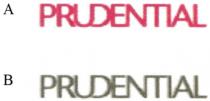 PRUDENTIAL