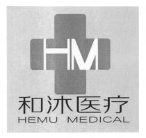 HM HEMU MEDICAL 和沐医疗
