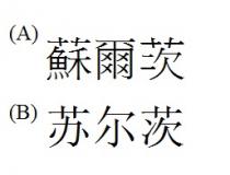 蘇爾茨 苏尔茨