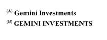 Gemini Investments GEMINI INVESTMENTS