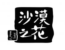 沙漠之花