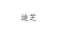 迪芝