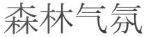 森林气氛