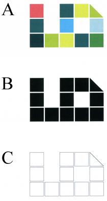 LD