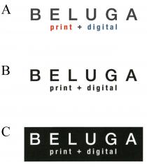 BELUGA print + digital