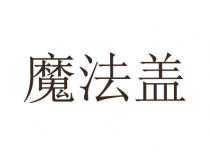 魔法盖