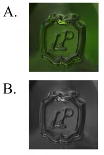 LP