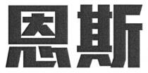 恩斯