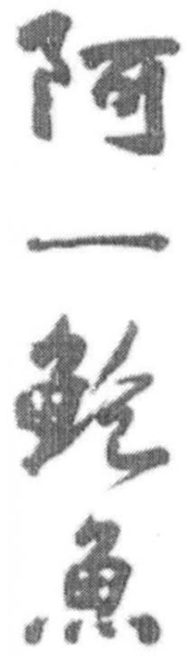 阿一鲍魚