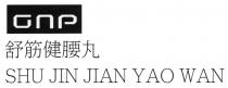 GnP SHU JIN JIAN YAO WAN 舒筋健腰丸
