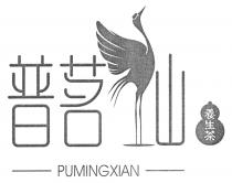 PUMINGXIAN 普茗仙 養生茶