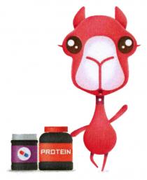 PROTEIN