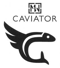 MW CAVIATOR C