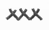 XXX