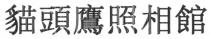 貓頭鷹照相館