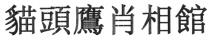 貓頭鷹肖相館