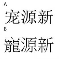 寵源新 宠源新