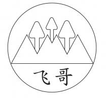 飞哥