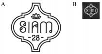 SIAM -28-