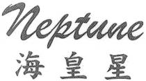 neptune 海皇星